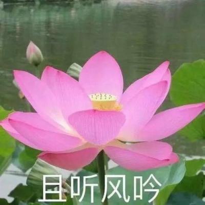 风云诸侯小米版下载